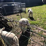 The Slow Zuidoostbeemster
