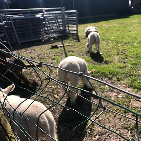 The Slow Zuidoostbeemster