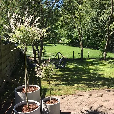 Apartment The Slow *