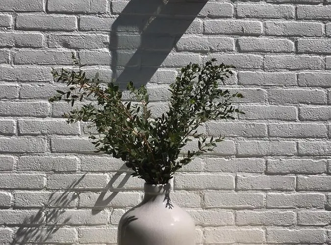 Appartement The Slow