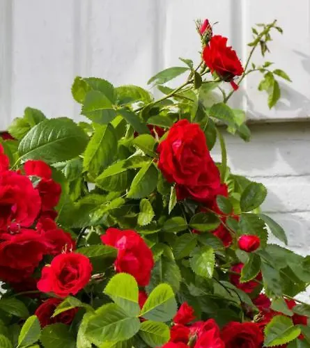 Appartement The Slow Zuidoostbeemster